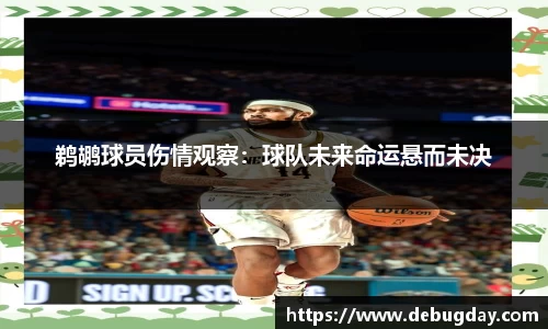 鹈鹕球员伤情观察：球队未来命运悬而未决